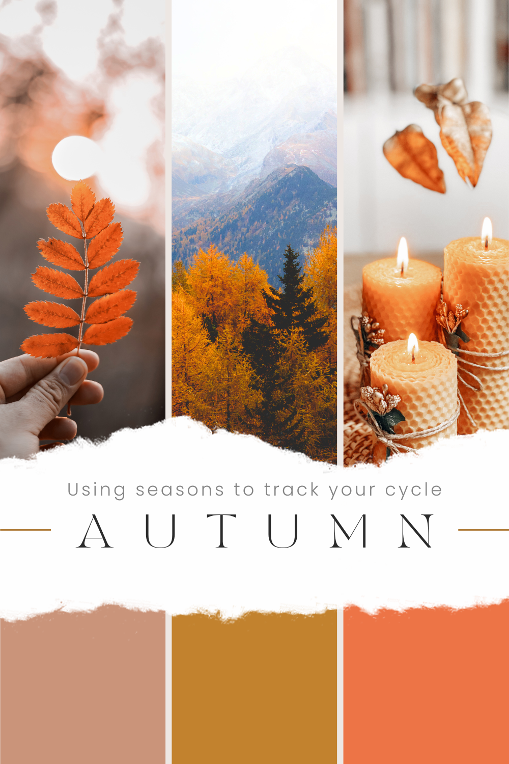 Luteal Phase? Or Internal Autumn? Using internal seasons to track your menstrual cycle.