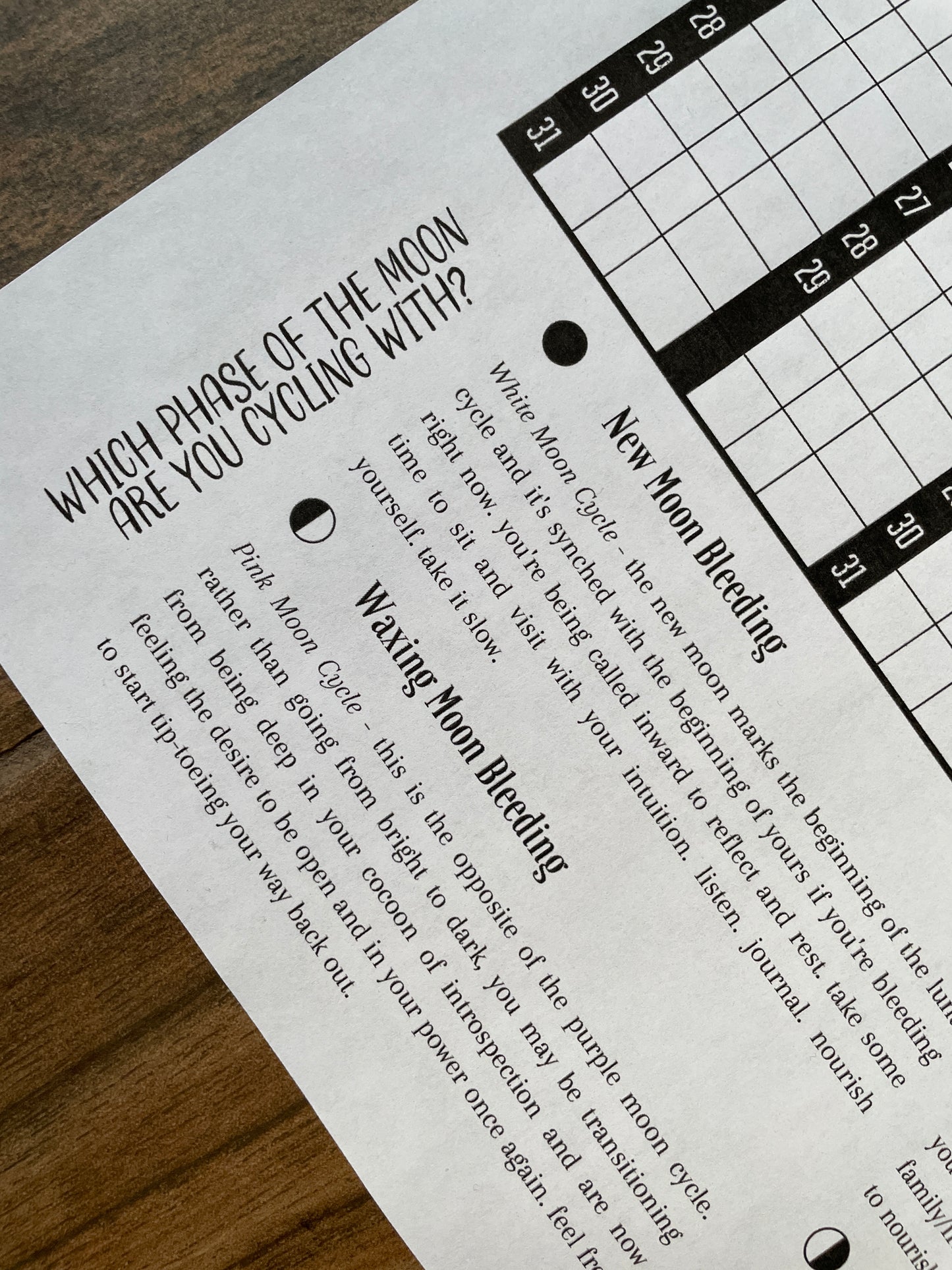 DIGITAL 2026 Internal Seasons Menstrual Tracker