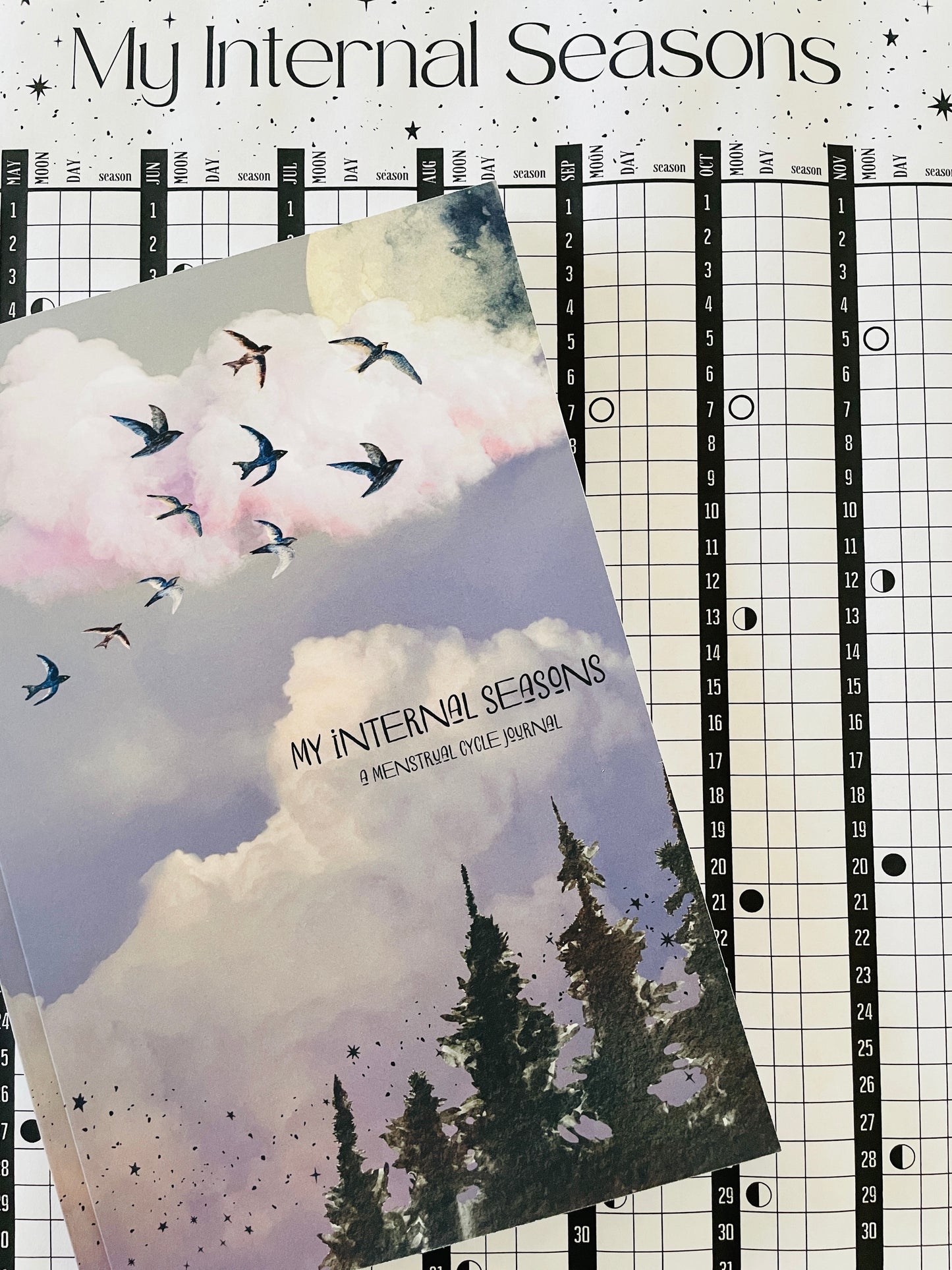 Internal Seasons Menstrual Bundle