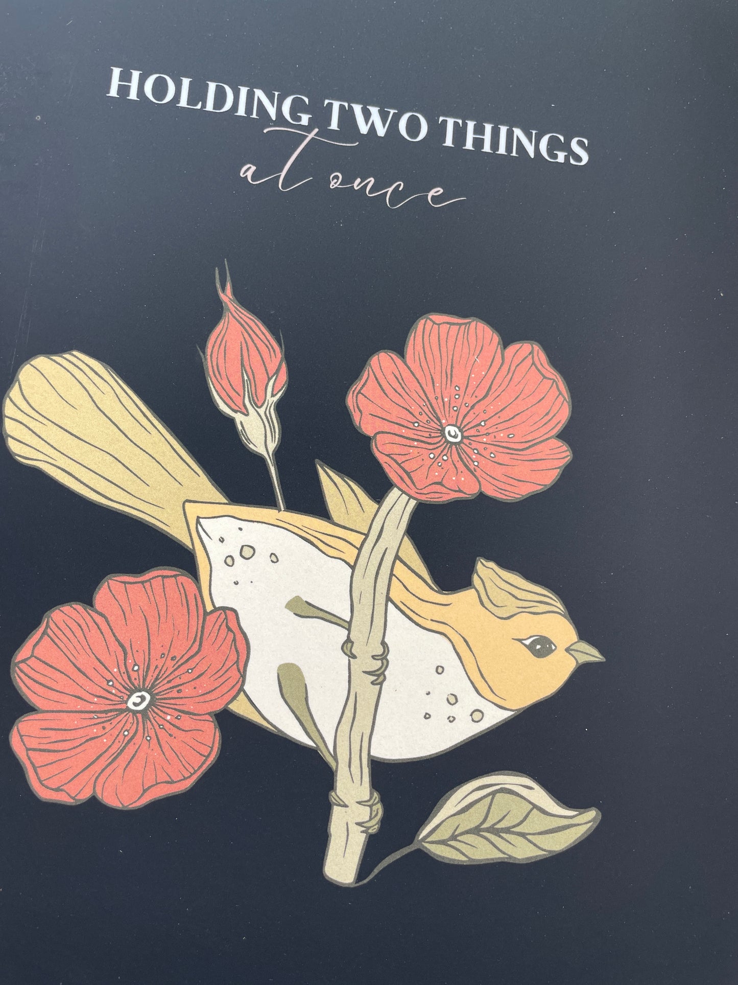 Holding Two Things at Once - an Anxiety Relief Journal